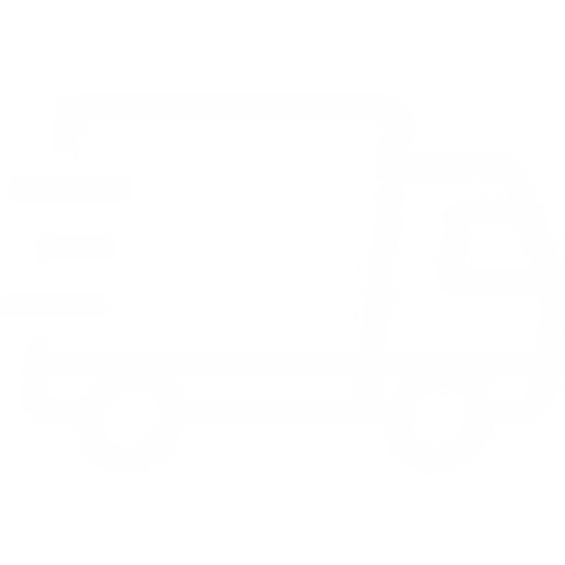express-delivery-white